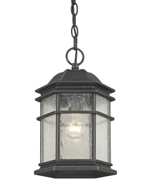 Barlow One Light Outdoor Hanging Lantern in Winchester