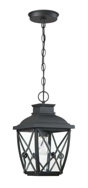 Belmont One Light Hanging Lantern in Black
