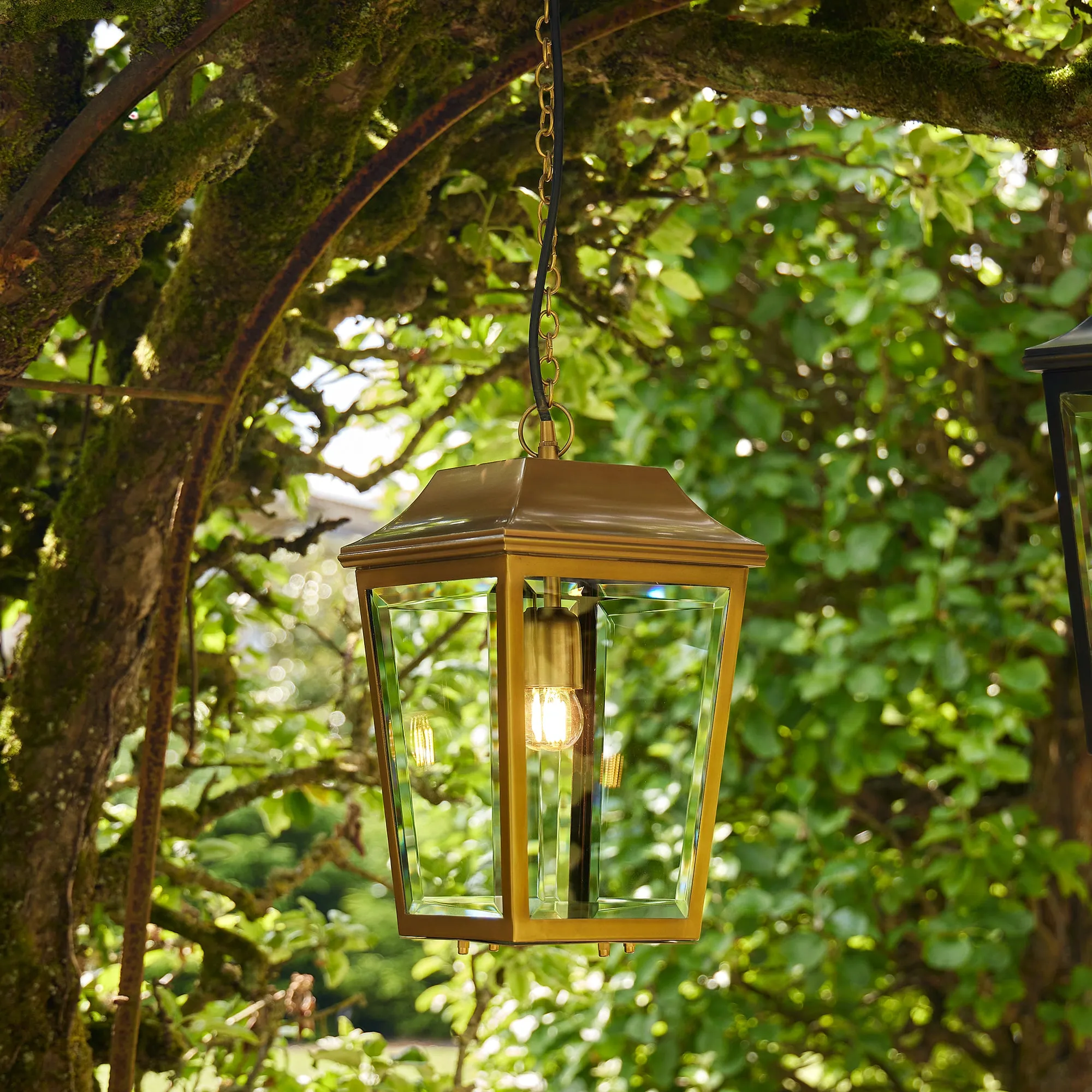 Crail IP44 exterior hanging lantern in antique brass