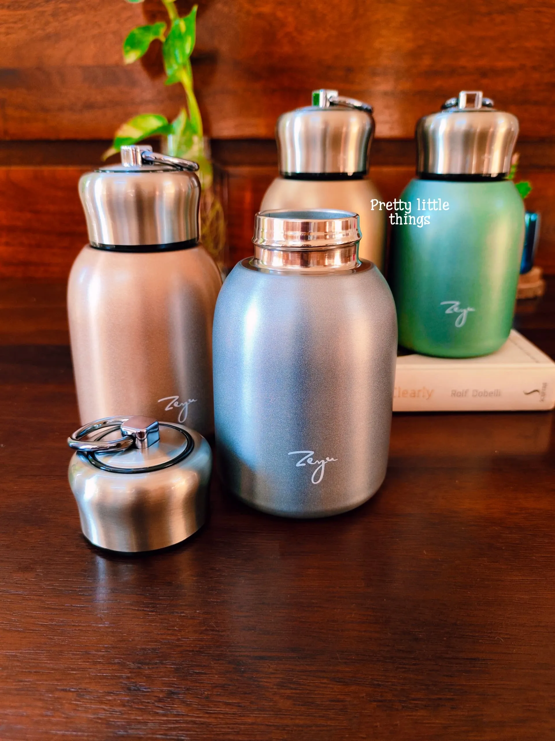 Elegant Pastel Metallic Portable Insulated Flasks (~250 Ml)