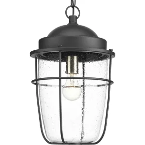 Holcombe One Light Hanging Lantern in Black