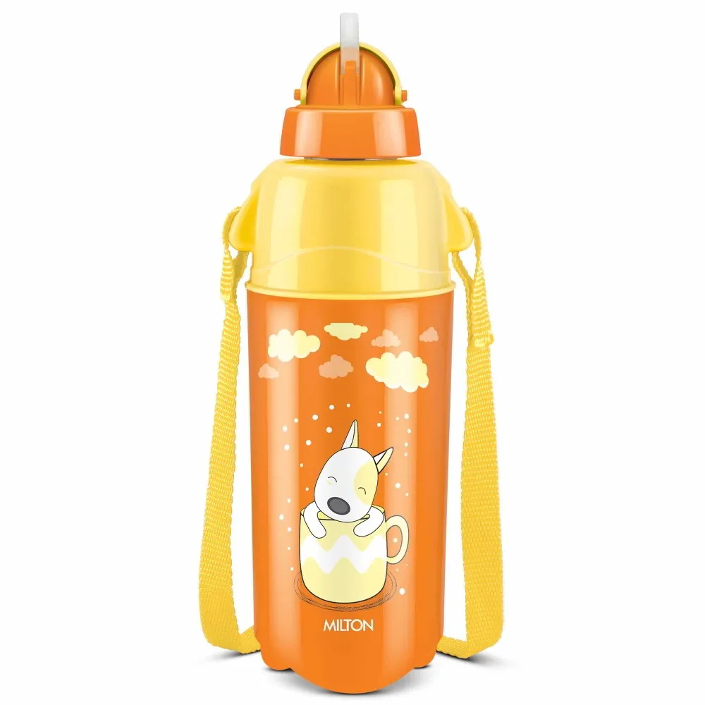 Kool Trendy Bottle (Milton)