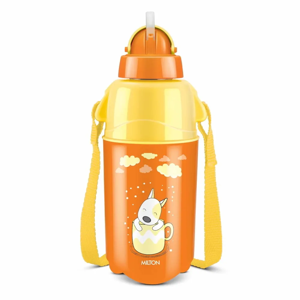 Kool Trendy Bottle (Milton)