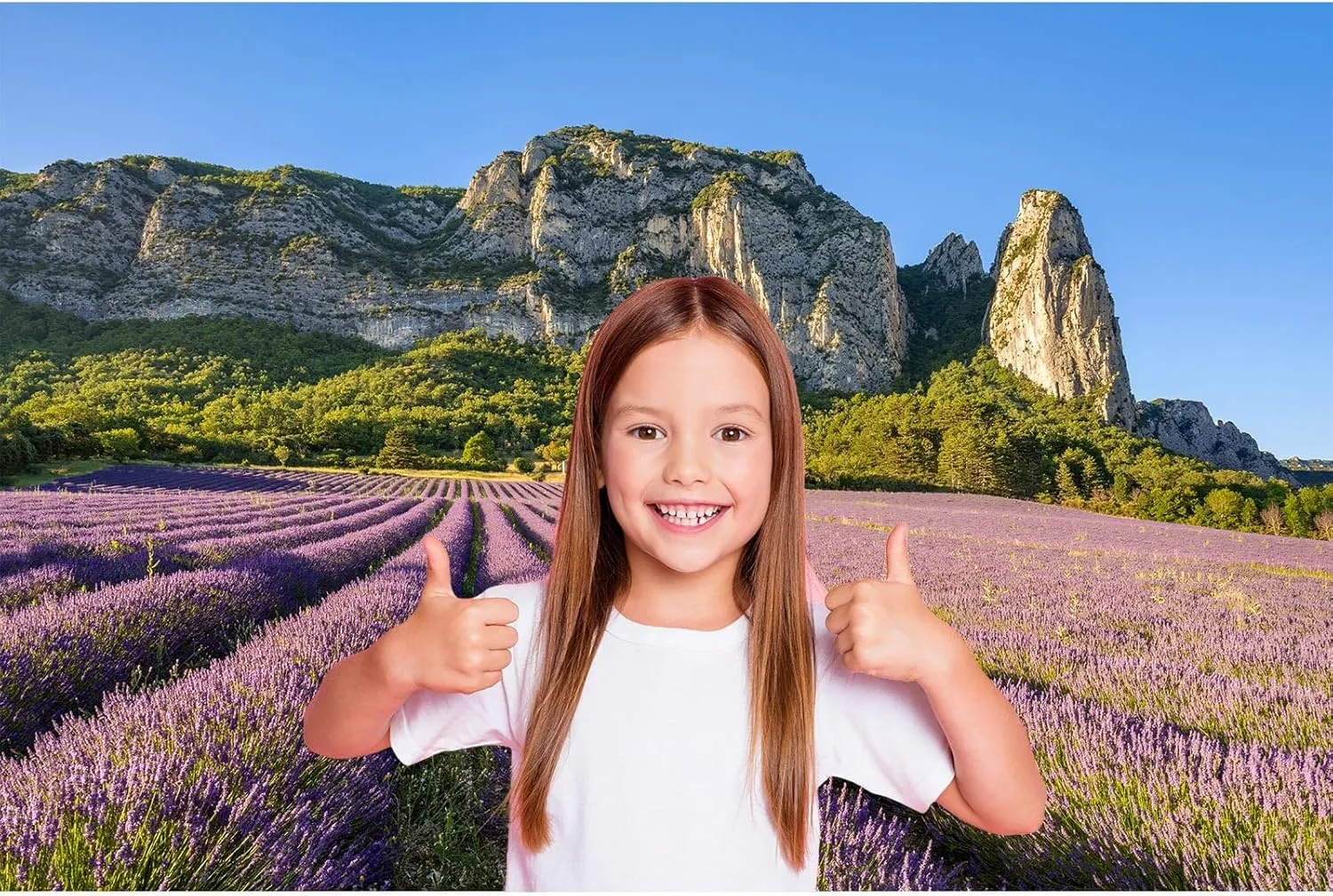 Lavender Fields Backdrop Summer View of Lavender Fields in Bloom and Alps Mountains Photography Background Alps Mountain Ridge Nature Landscape Backdrop Decors Alps Travel Theme Background 7x5ft