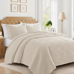 Lavsiry Beige Quilt Queen Size with Striped Pattern, Lightweight Soft Summer Thin Microfiber Bedspread & Coverlet Bedding Set for All Seasons - 3 Piece(1 Quilt, 2 Pillow Shams)