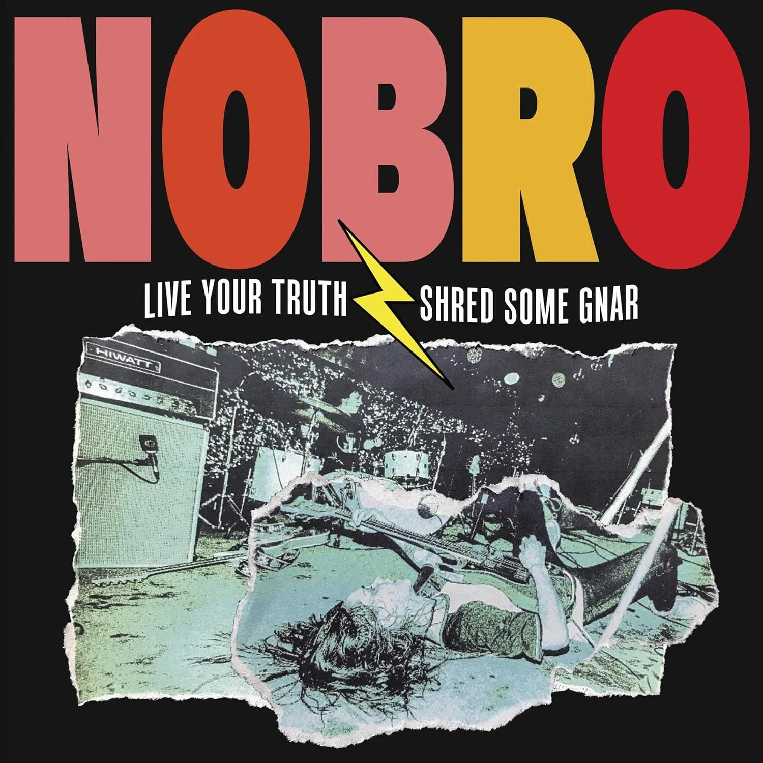 Live Your Truth Shred Some Gnar