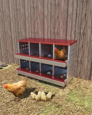 Metal Chicken Nesting Box for Laying Eggs, Rustproof Wall-mountable Roll Away Chicken Laying Boxes for Hens, Waterproof, Ventilated with Perch, 8 Compartments, Red