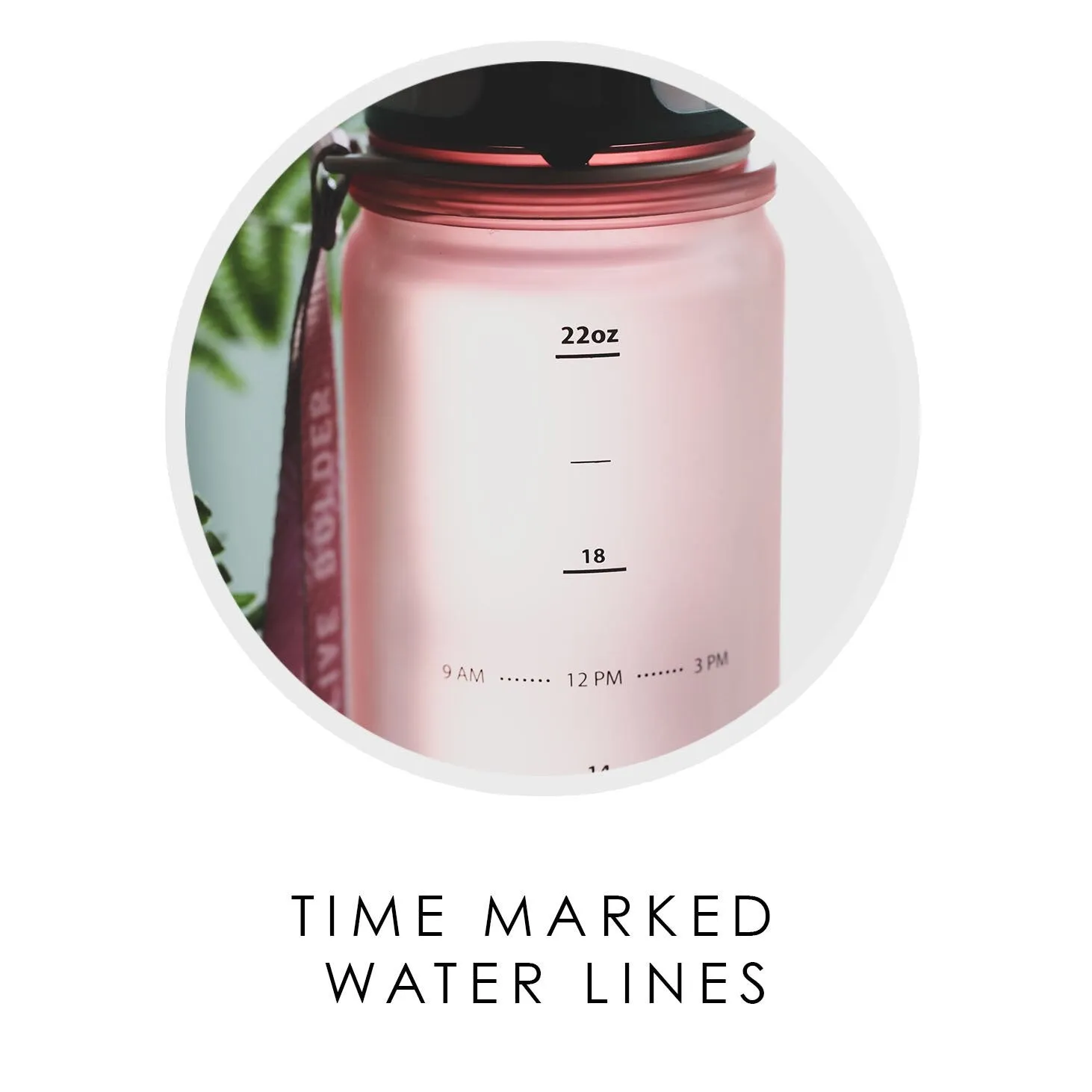 Ombré 24oz Insulated Sports Bottle