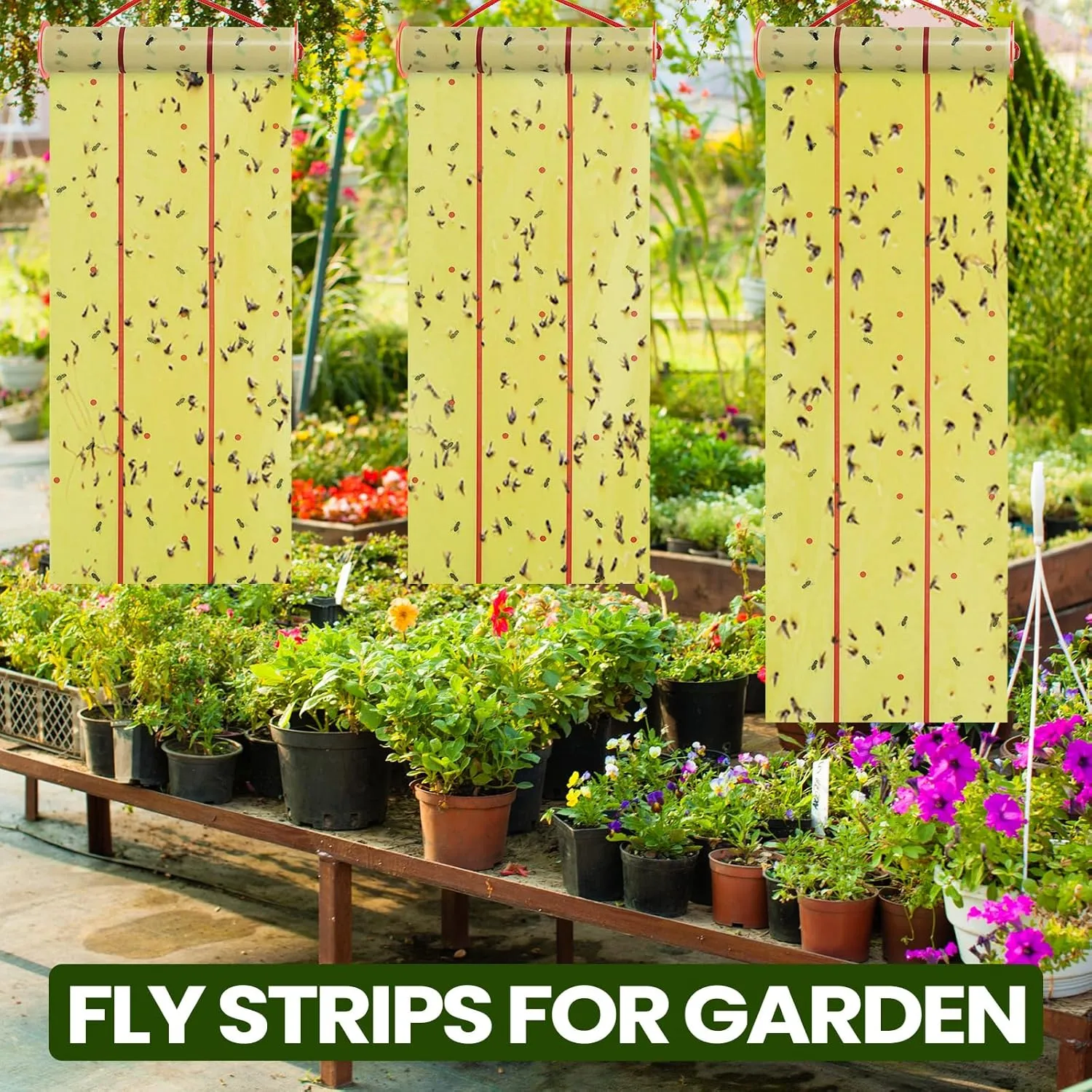 Qualirey 8 Rolls Giant Sticky Fly Traps 183 Feet Adhesive Fly Paper Fruit Fly Traps Outdoor Indoor Fly Strips Sticky Hanging Fly Tapes Gnat Bug Catcher Pest Killer for Garage Greenhouse Barn Stable