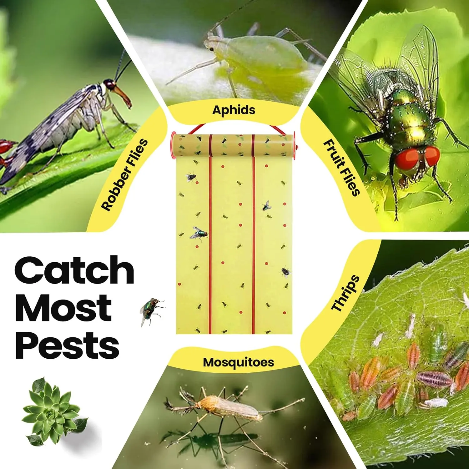 Qualirey 8 Rolls Giant Sticky Fly Traps 183 Feet Adhesive Fly Paper Fruit Fly Traps Outdoor Indoor Fly Strips Sticky Hanging Fly Tapes Gnat Bug Catcher Pest Killer for Garage Greenhouse Barn Stable
