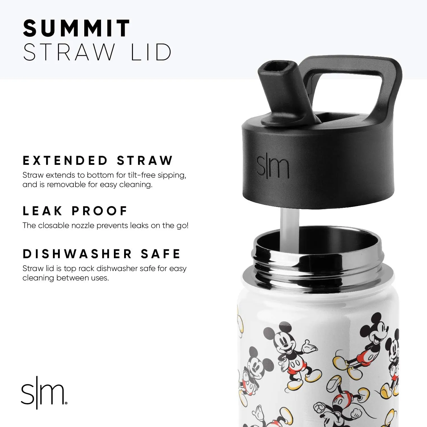 Simple Modern Kids Summit Water Bottle with Straw Lid | Disney Wish 14oz Stainless Steel Cup Insulated Tumbler for Girls, School | Asha's Adventure