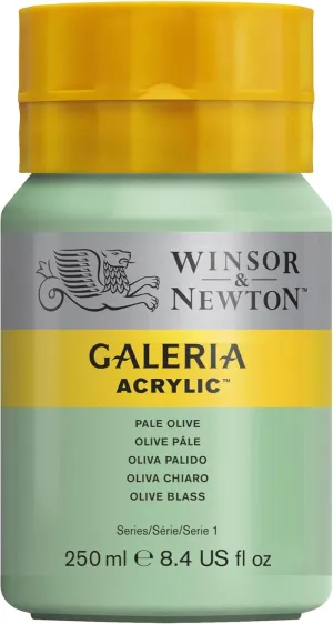 Winsor & Newton Series 1 250ml Bottle Galeria Acrylic Colour with Nozzle Cap - Pale Olive